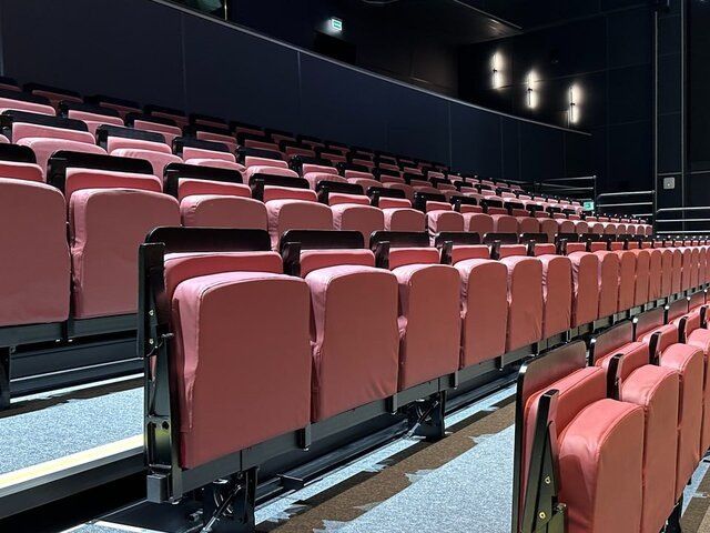 Недовольство депутатов Госдумы: проблемы российской индустрии кино на повестке дня