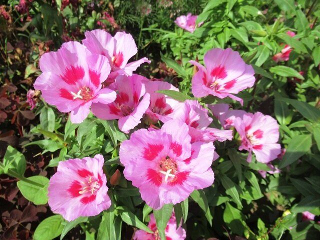 ��� ��������� �������: 5 ������� ����� ��� ��������� ��������