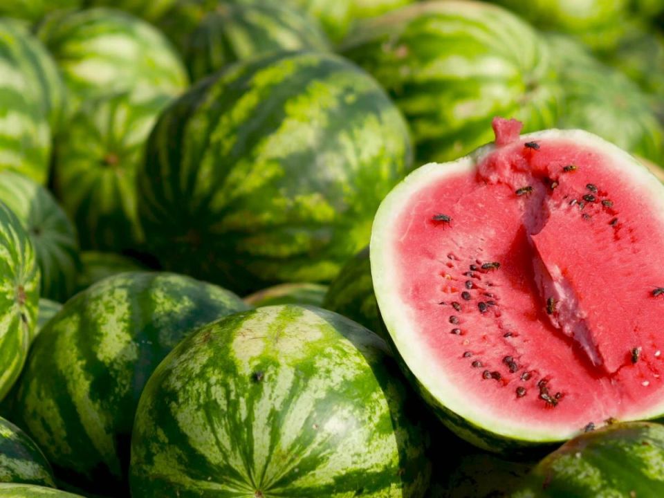 ��� �������� ������ ������� � ����: ������ ��� ����������