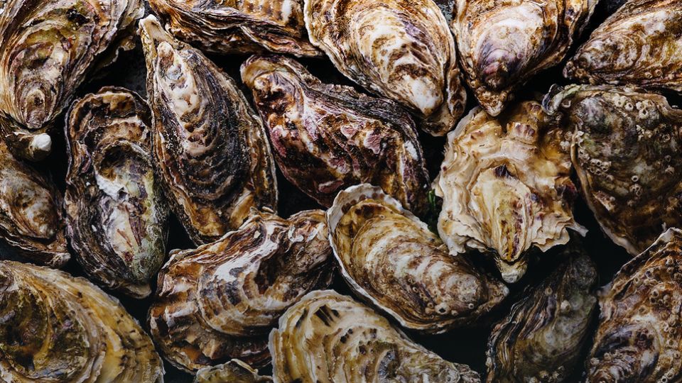 ��������������� ������������: ������ ������� ������� ��������