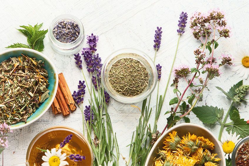 ��� ����������� ����� ����� �������� ������ ��������