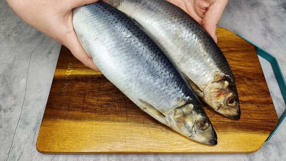 �������� ������ ������: ������� ��������� �������