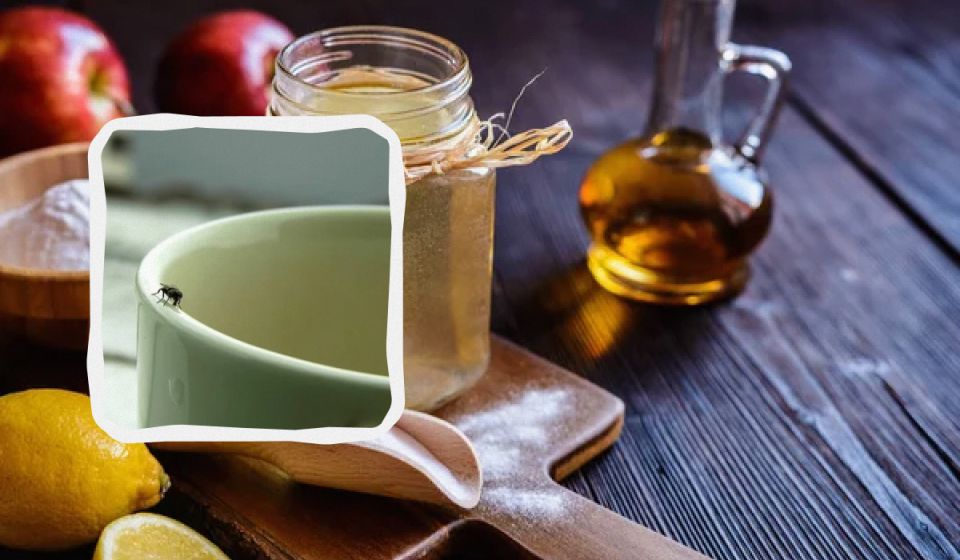 ��� ������� �������� ������� ���������� �� ����� ��� � ��������