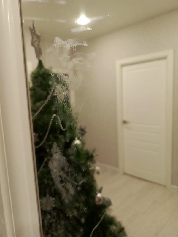 ������� ��������� ����: ������ ������� � ���� � Wildberries