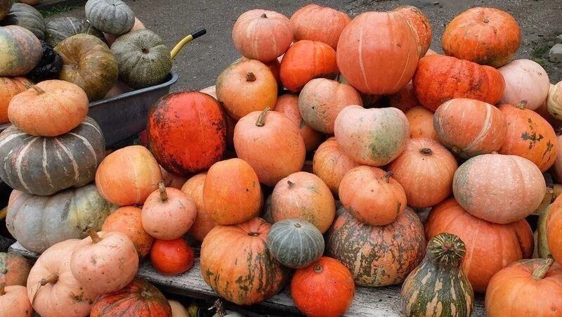 � ���������� ������ ����������� ������: 10 ���� ����� �������