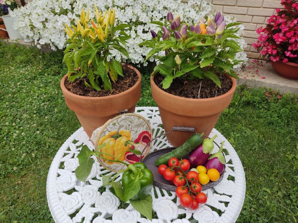 ������ ����� � ����: ��� �������� ��������� � ������ ����