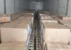 � ���������� ��������� ������ ���������: ����� 8 ���� �� ������ ��������