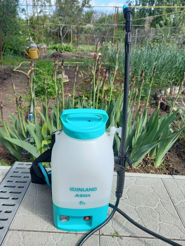 �������������� �������������: ����� �� �������� �������� �� ����� ����������?