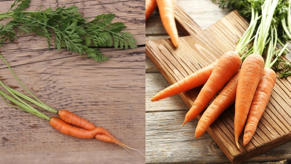 ��� ���������� �� ������ �������: ������� �� �������� �������