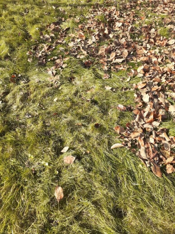 ����������� ������� ������� ������ ������ � ������� �������������