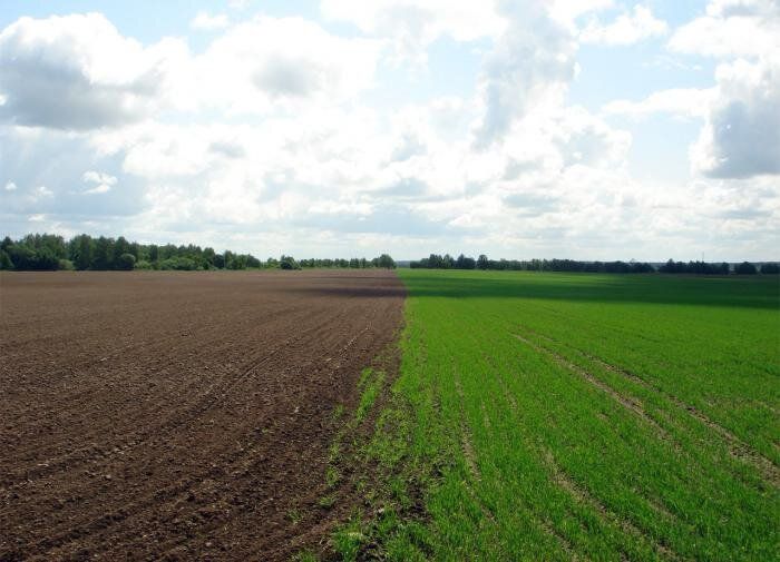 ���������� ���������� �������������: ������ ������ ��� ��������� � �����������