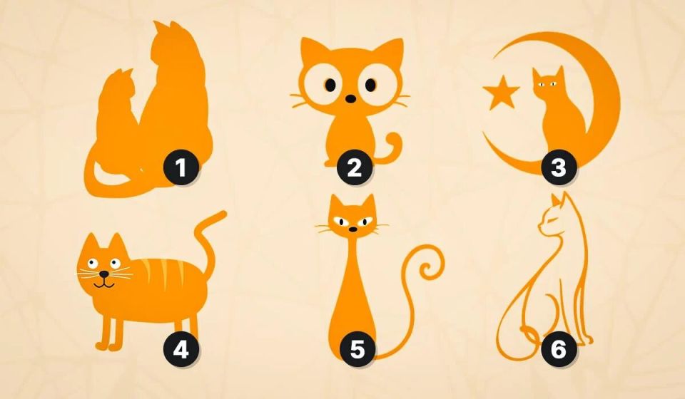 ��� ��� ����� ����� ���������� ����� ����� ��������