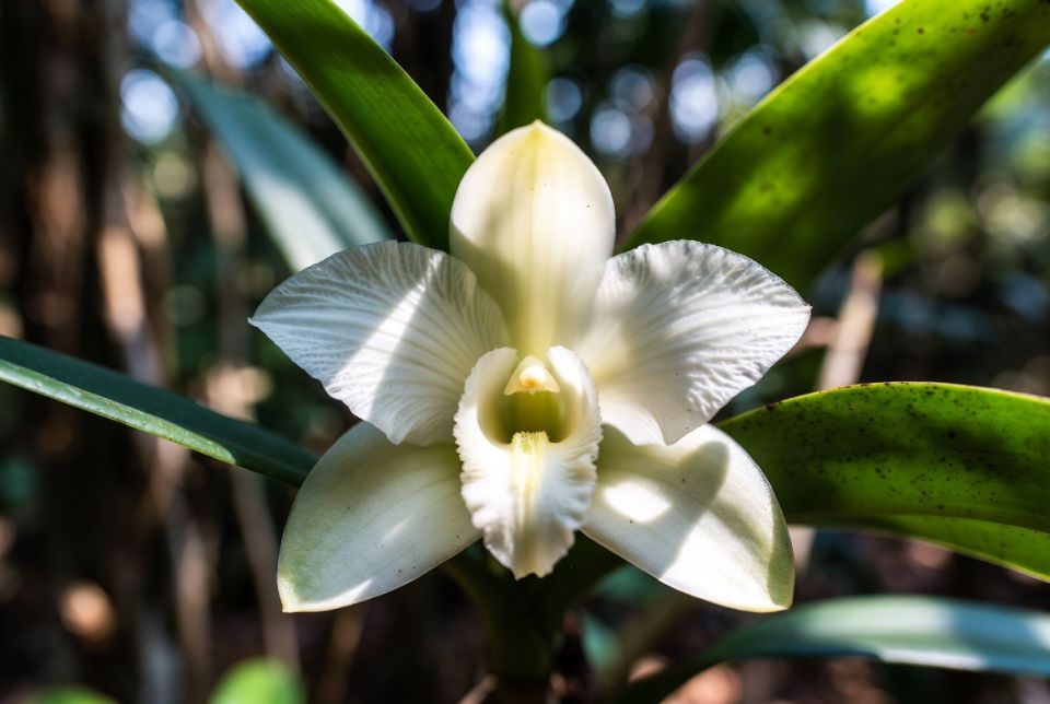 ��������� ��������� �������? ������� �������������� �������������