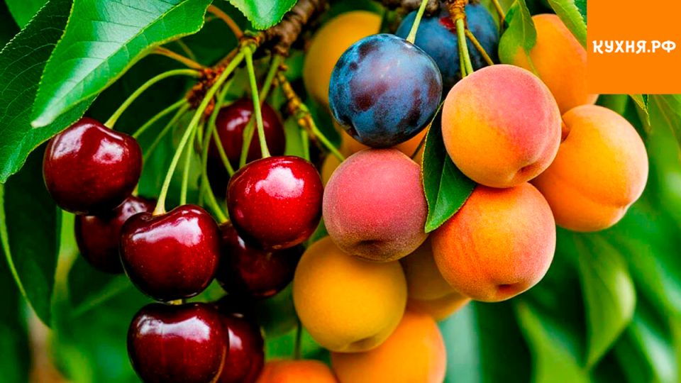 ��������� ������: ����, ������� ������ �� ����� ������