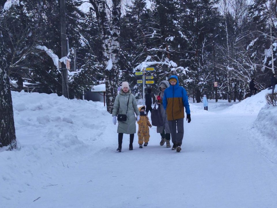 � ������ ����������� ����� 40 ����� ���������� ������ � 1 �������