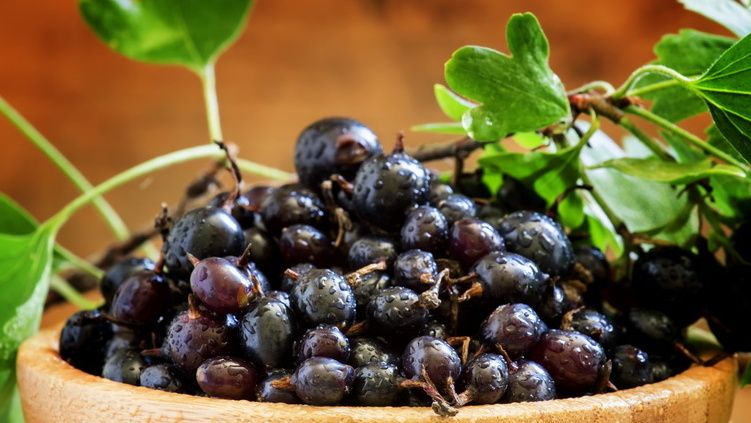 Как добиться урожая черной смородины без химии: два простых шага