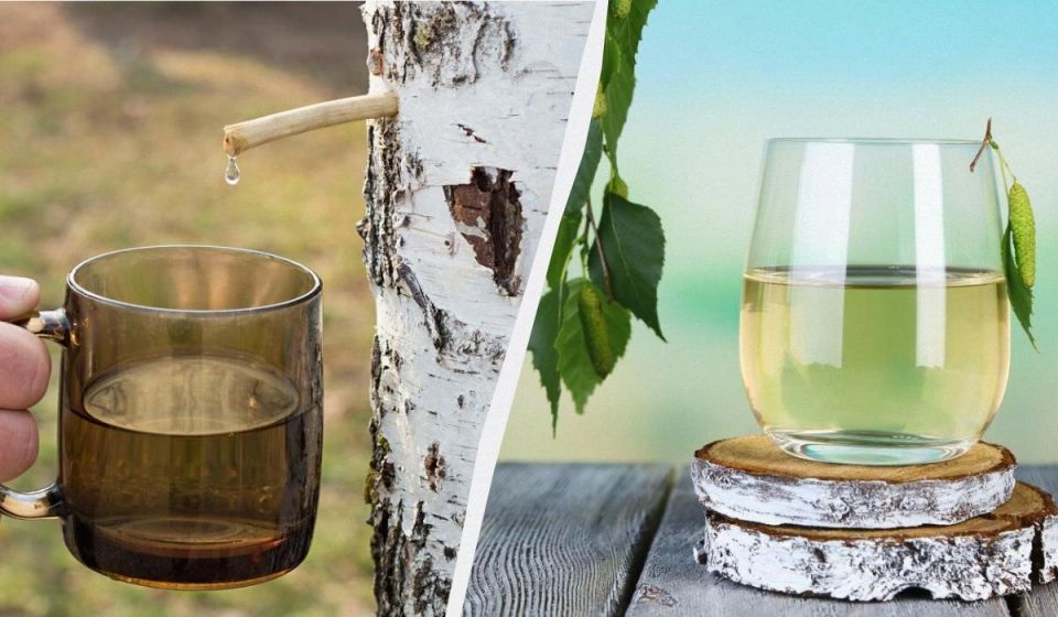 ��������� ���: ��������� ����� � �������� � �����