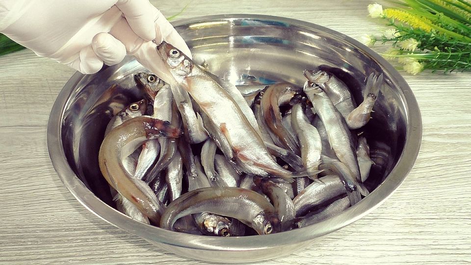 ��������� ������ ����� �����: �������� � ���� ����� �� �������