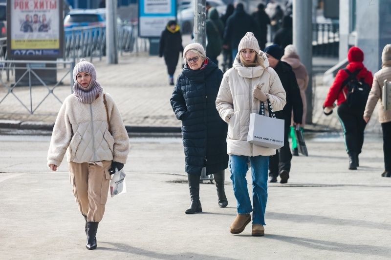 Изменения в графике выплат пенсий и пособий в Новосибирской области в феврале 2026 года