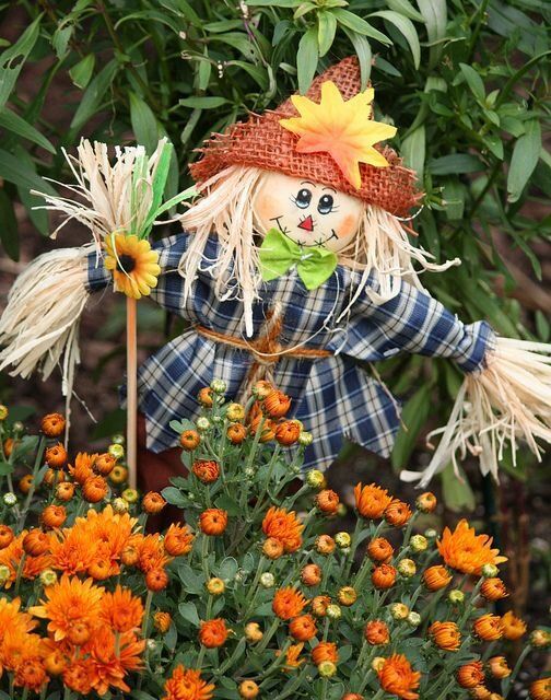 Эффективные способы борьбы с пернатым вредителями на вашем участке