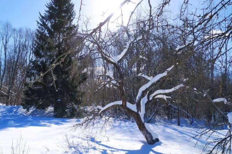 ������� ������ � �����: ��� ����� ������ �������