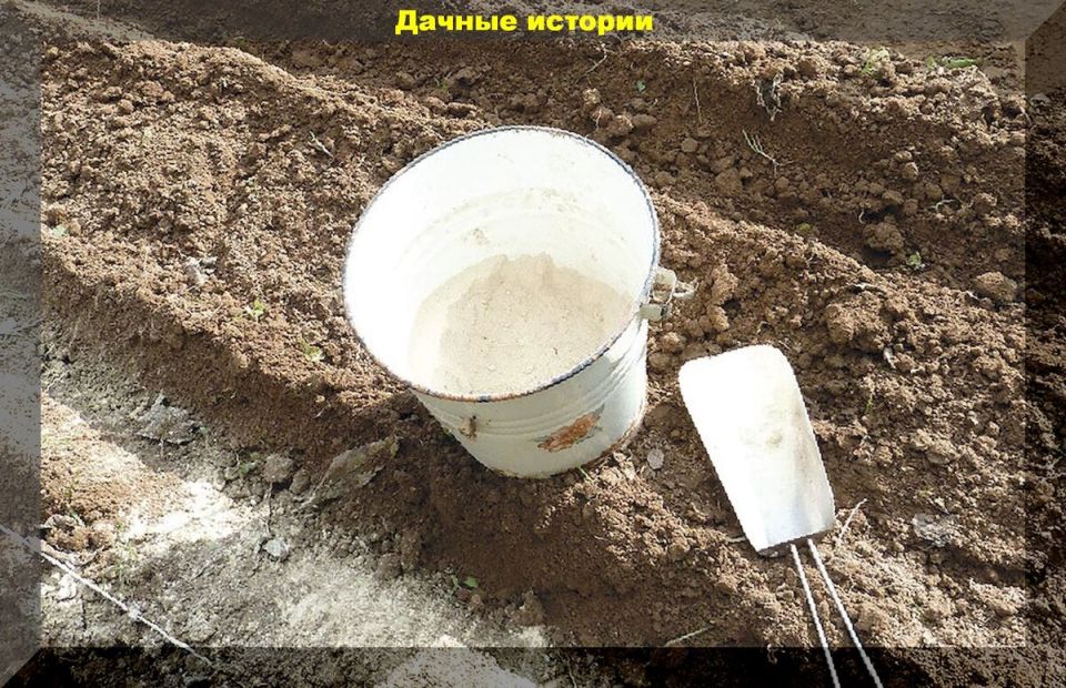 Секреты успешного известкования почвы для вашего огорода