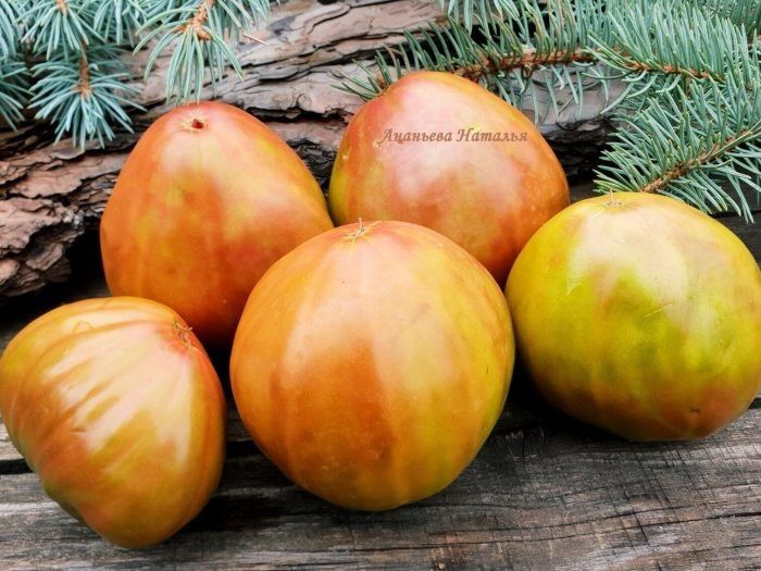 Томат «Ананасное сердце»: секреты культивации экзотического сорта с необычными плодами